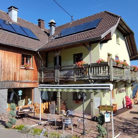 Les 4 Saisons Hotell Kruth Exteriör bild