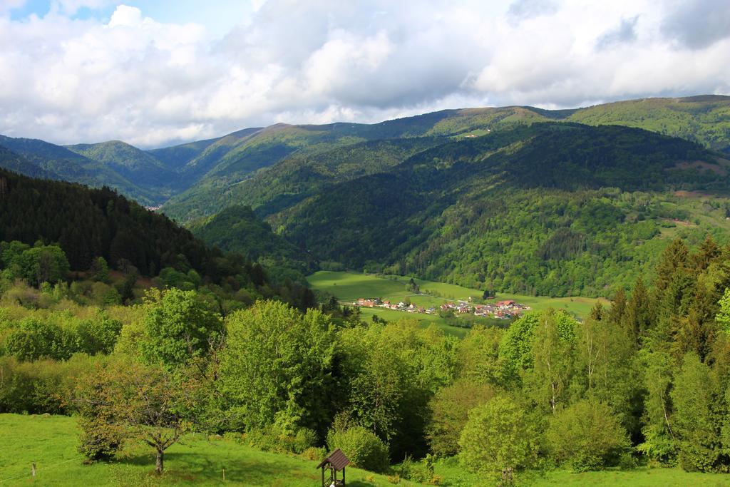Les 4 Saisons Hotell Kruth Exteriör bild